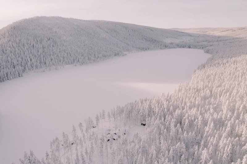 popular-wildzy-sweden.jpg